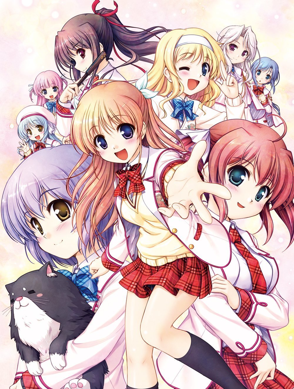 大図書館の羊飼い　dreaming sheep 初回限定版　プレミアムパック 81+EWXqmFfL.jpg